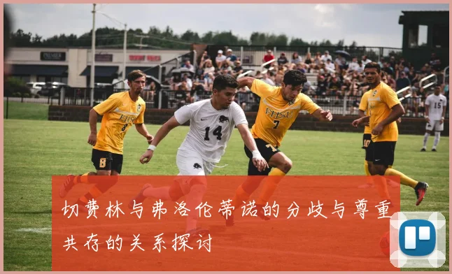切费林与弗洛伦蒂诺的分歧与尊重共存的关系探讨