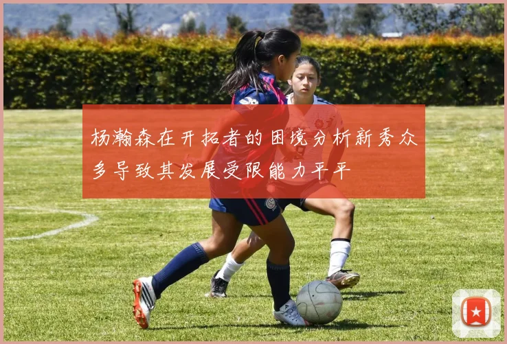杨瀚森在开拓者的困境分析新秀众多导致其发展受限能力平平