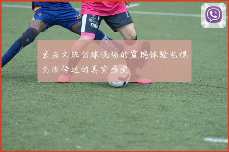 亲历文班打球现场的震撼体验电视无法传达的真实感受