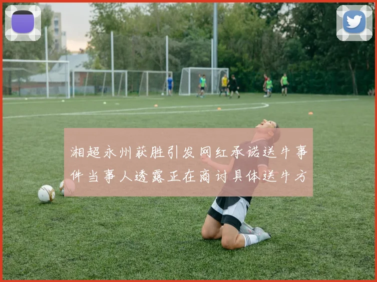 湘超永州获胜引发网红承诺送牛事件当事人透露正在商讨具体送牛方案
