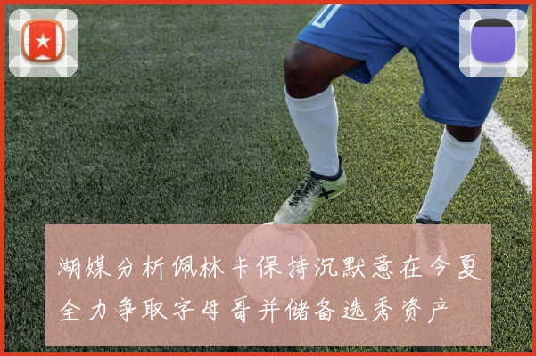 湖媒分析佩林卡保持沉默意在今夏全力争取字母哥并储备选秀资产