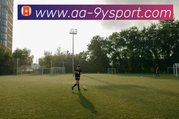 九游足球平台生态图